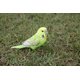 thumbnail image 3 of Figura Hi-Line Budgerigar con pie de hierro verde, poliresina, 3 of 8