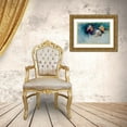 thumbnail image 3 of Campbell, Robert 18x13 Gold Ornate Wood Framed with Double Matting Museum Art Print Titled - Mandarin Duck Soup, 3 of 4