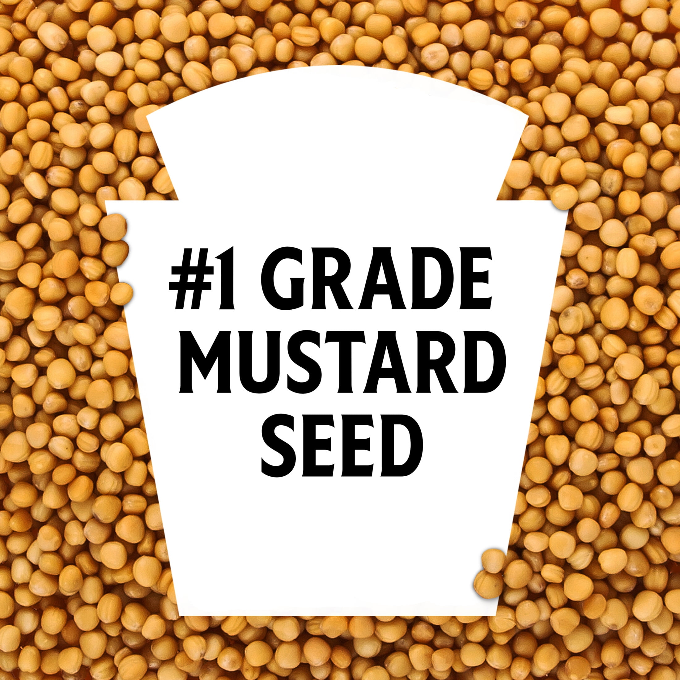 Heinz Mostaza Amarilla Botella de 20 oz, Líquidas, sin Caseína Heinz Mostaza Amarilla Botella de 20 oz, Líquidas, sin Caseína