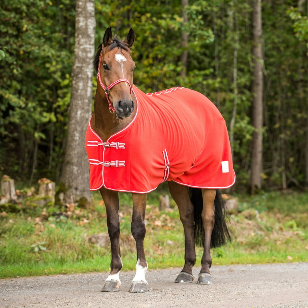Horse Sheet Polar FLEECE COOLER Exercise Blanket Wicks Moisture 4367