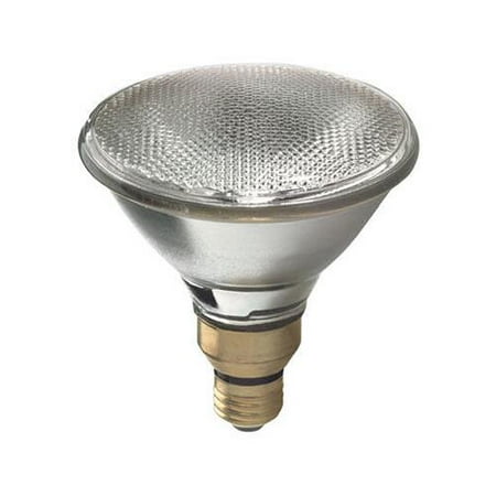 G E Lighting 63203 Flood Light Bulb Halogen Indoor Outdoor Par 38 G E Lighting 63203 Flood Light Bulb Halogen Indoor Outdoor Par 38 80 Watt 2 Pk Com