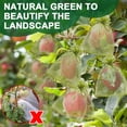 thumbnail image 3 of Fruit Protection Bags Green Fruit Trees Mesh Bags 6×8in 50pcs, 3 of 6