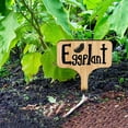 30 Pcs Plant Label Garden Stake Tags Succulent Planters Sign Labels for Plants Wood Potted