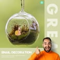 thumbnail image 2 of 20 Pcs Moss Micro Landscape Decor Mini Garden Ornaments Snail Shape Ornament, 2 of 7