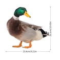 thumbnail image 2 of ABODELINE Lifelike Acrylic Mallard Garden Stake - Realistic Duck Decor for Outdoor Lawn, Yard, and Patio Decoration (10.4 inch), 2 of 6
