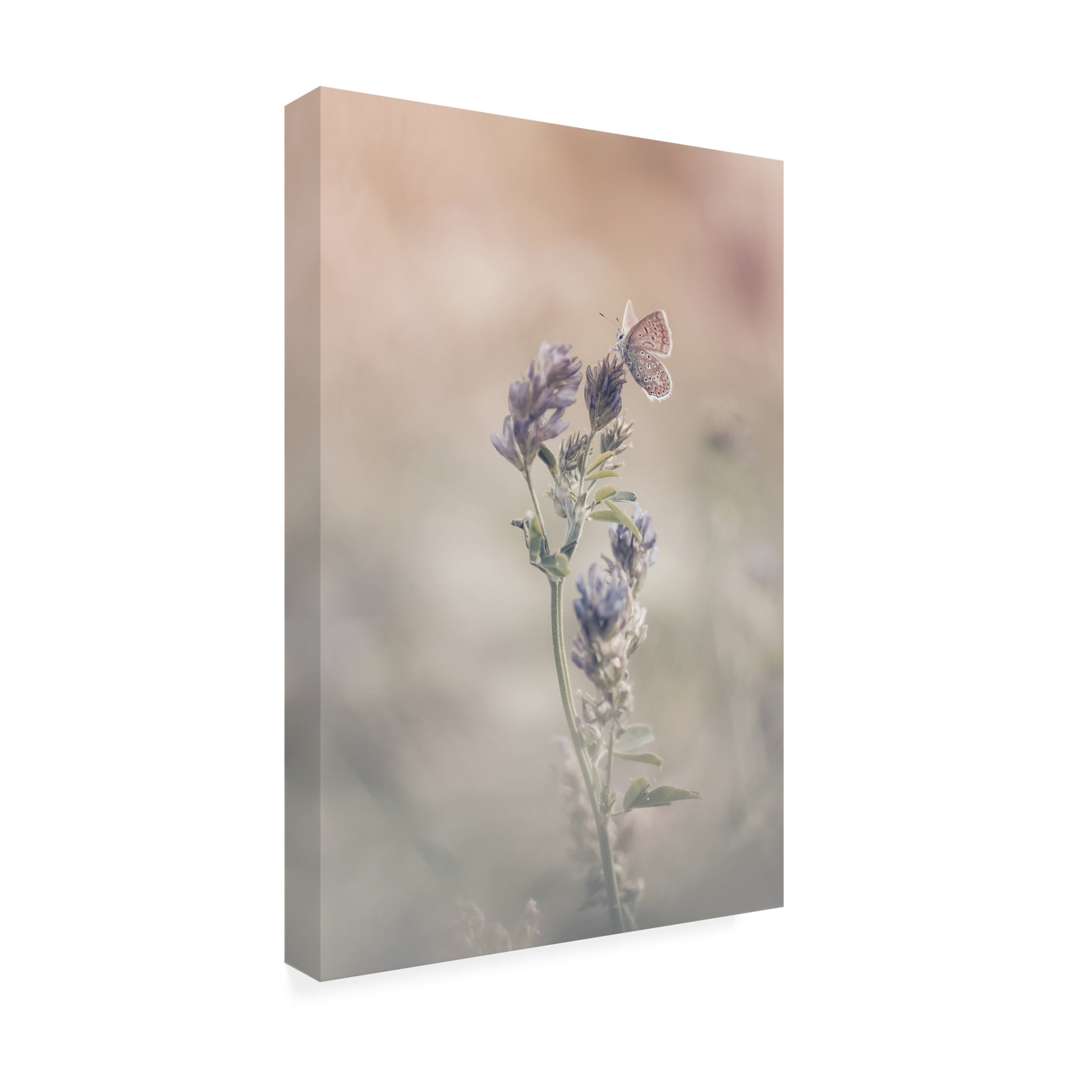 Canvas Wall Art - Sam Bastien 'Sweet World' Wall Art for Living Room, Bedroom, or Office Décor by Trademark Fine Art - 22 x 32 Inches