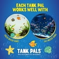 thumbnail image 6 of Tank Pals: Clarence the Clarifier Fish - 1 pk, Orange - Aquarium Treatment, Clear Cloudy Fresh-Saltwater, Fish-Plant Safe, 10gal Tank Maintenance Each, 6 of 9