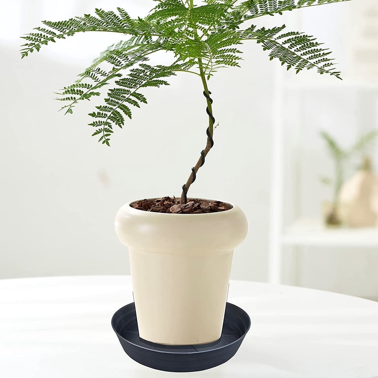 Namzi Plant Saucer 12 Inch Extra-Deep Plant Trays for Flower Pot, Heavy Drainage Tray for Indoors No Holes, 10 Pack of Plastic Plant saucers Water