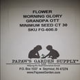 thumbnail image 3 of PAPAW'S GARDEN SUPPLY LLC. HELPING THE NEXT GENERATION GROW! Grandpa Ott Morning Glory Vining Flower Seeds., 3 of 5