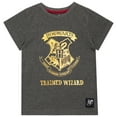thumbnail image 3 of Harry Potter Boys 2 Pack Short Sleeve T-Shirt Sizes 6-14, 3 of 3