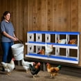 thumbnail image 2 of Chicken Nesting Box, 10 Compartment Metal Nesting Boxes for Chicken Coop, Roll Away Nest Box, Easy Egg Collection, Easy to Clean and Install, Chicken Laying Boxes, Blue, 2 of 7