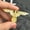 Gold, variant on Eagle Military Cross Animal Collar Brooch Pins Badge Corsage Brooch Jewelry A_yi-Gold
