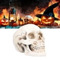 thumbnail image 4 of Skull Model, Skull Ornament Resin High Simulation Lightweight  For Dining Room For Halloween Party For Home, 4 of 8