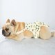 thumbnail image 3 of Bragas sanitarias del perro con la ropa interior Diaperyellow1pcs del animal doméstico de Suspendersadjustable, 3 of 7