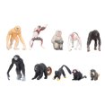 thumbnail image 1 of Lot de 10 mini-primates, singes nasiques, gibbons, orangs-outans, lémuriens, animaux décoratifs, 1 of 3