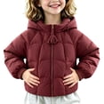 thumbnail image 5 of OGLCCG Hooded Puffer Jackets for Girls Lightweight Warm Quilted Winter Coat for Girls Full Zip Cute Down Jacket with Pockets(Wine,1-2 Years), 5 of 6
