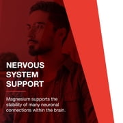بروتوكول توازن الحياة - Magtein - يدعم الجهاز العصبي والوظيفة المعرفية الصحية مع تركيبة امتصاص محسنة - 90 كبسولة نباتية