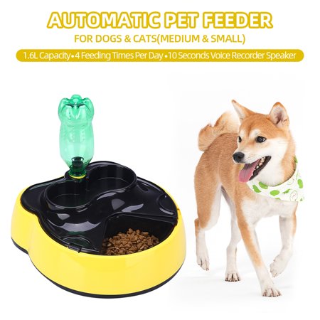 Automatic Pet Feeder Food Water Dispenser With Voice Record