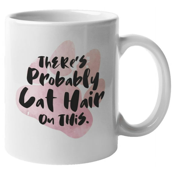 There's Probably Cat Hair on This Coffee & Tea Mug & Decor or Container (11oz)