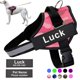 thumbnail image 2 of Arnés de perro personalizado, chaleco de arnés de perro ajustable reflectante para perros pequeños y grandes con parche personalizado, suministros de entrenamiento para perros Tan Jianjun unisex, 2 of 2