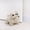 Dog, variant on Cute Door Stopper Decorative Door Stops for Home and Office, Cat Weighted Interior Doorstop Fabric Stuffed Animal Door Stopper Floor Decorative