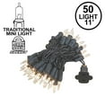 thumbnail image 4 of Novelty Lights Clear 50 Light Incandescent Mini Christmas String Lights Black Wire 11 Feet, 4 of 4