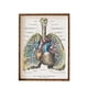 thumbnail image 1 of Kearding Pintura sin marco gráfica de fibra de pulmón, casa para niños, dormitorio, restaurante, salón, imagen ornamental, póster Decoración del hogar, 1 of 5