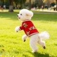 thumbnail image 3 of Adorable Bear Knitted Dog Sweater Warm Winter Cardigan Soft Pet Apparel For Small Medium Dogs And Cats Comfort Outfit Red,XS, 3 of 6