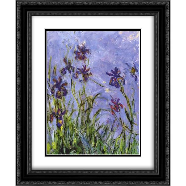 Irises (detail) 2x Matted 20x24 Black Ornate Framed Art Print by Claude