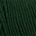 thumbnail image 3 of Bernat® Super Value™ #4 Worsted (Medium) Acrylic Yarn, Deep Sea Green 7oz/197g 440 Yards, 3 of 5