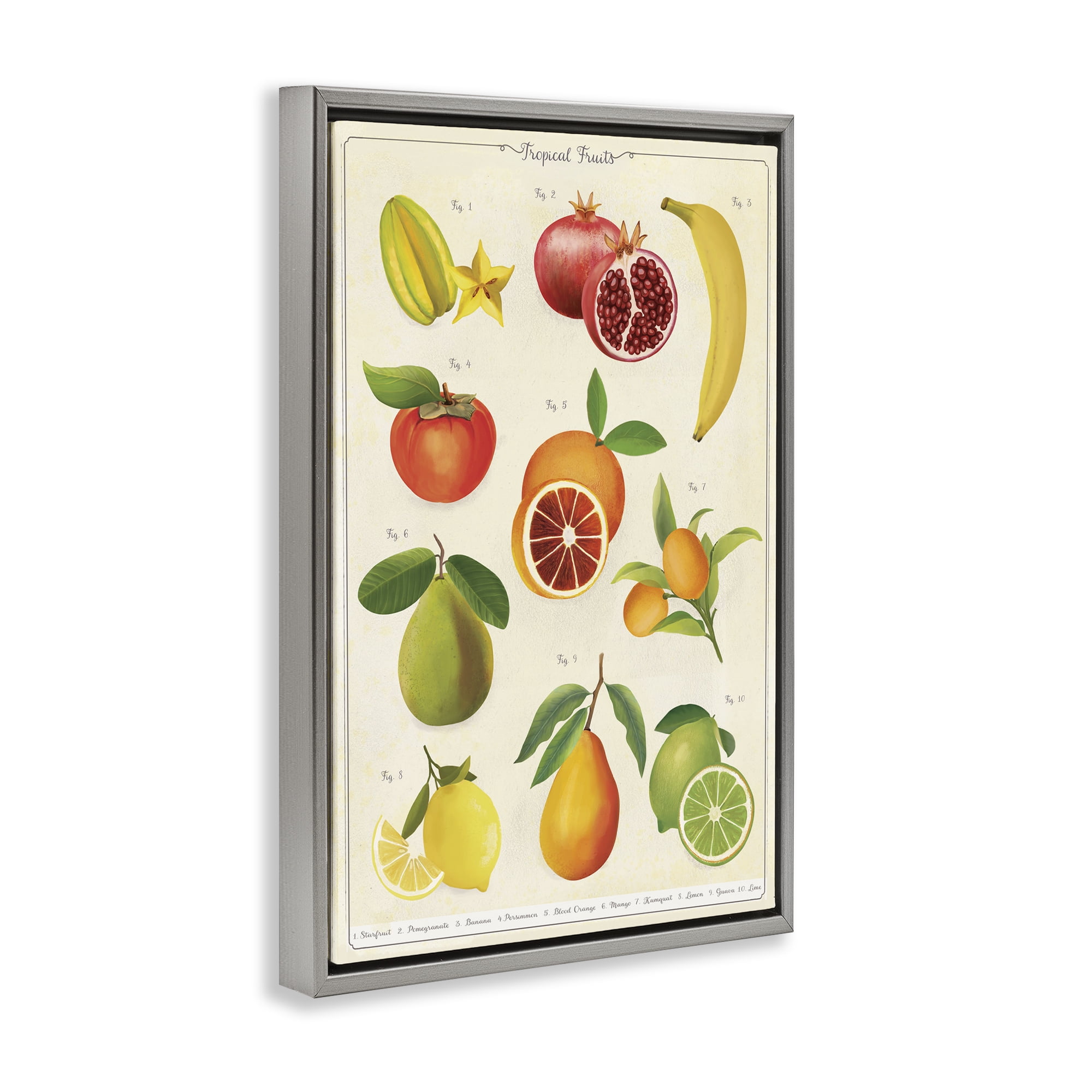 Stupell Industries Vintage Tropical Fruit Studies Gray Framed Floater Canvas Wall Art, design by Diane Neukirch