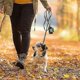 thumbnail image 4 of Dog Poop Bag Dispenser Hands Free, Dog Leash Poop Bag Holder Plastic Portable Pet Waste Bag Dispenser-Garbage bags not included, 4 of 5