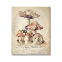 Stupell Industries Vintage Detailed Mushroom Nature Botanical & Floral Painting Gallery Wrapped Canvas Print Wall Art