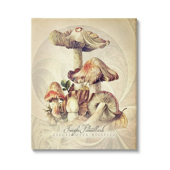 Stupell Industries Vintage Detailed Mushroom Nature Botanical & Floral Painting Gallery Wrapped Canvas Print Wall Art