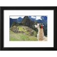 thumbnail image 2 of Llama at Historic Lost City of Machu Picchu  Peru, Animals Framed Art Print Wall Art by Yaro Sold by Art.Com, 2 of 6
