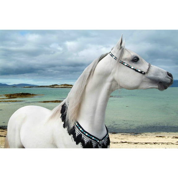 "Arabian Sea" Painting Print on Wrapped Canvas