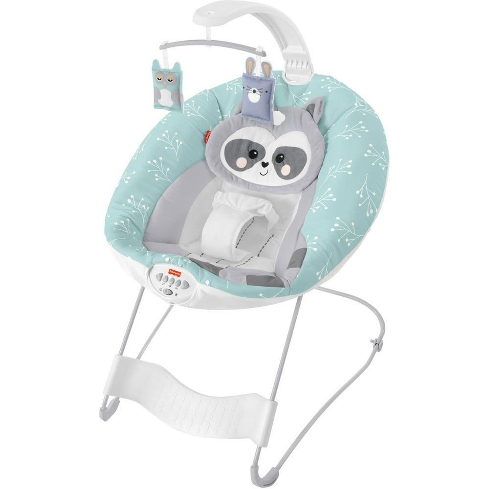 FisherPrice Baby Raccoon See & Soothe Deluxe Bouncer Infant Seat