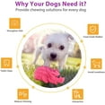 thumbnail image 4 of Lorfancy Dog Squeaky Chew Toys For Aggressive Chewers Large Breed, 4 of 5