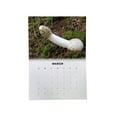 Fantastic Calendar For 2022,Funnys Ornament 2022 Fridge Calendar Yearly