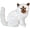 Style 1, variant on Jiibva Style 1 Realistic Cat Plush Decorative Figurine Soft Stuffed Animal Statue for Home Decor