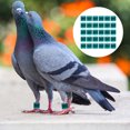 thumbnail image 3 of 50pcs Bird Ring Leg Bands Practical Pigeon Foot Bands Racing Pigeon Leg Rings, 3 of 8