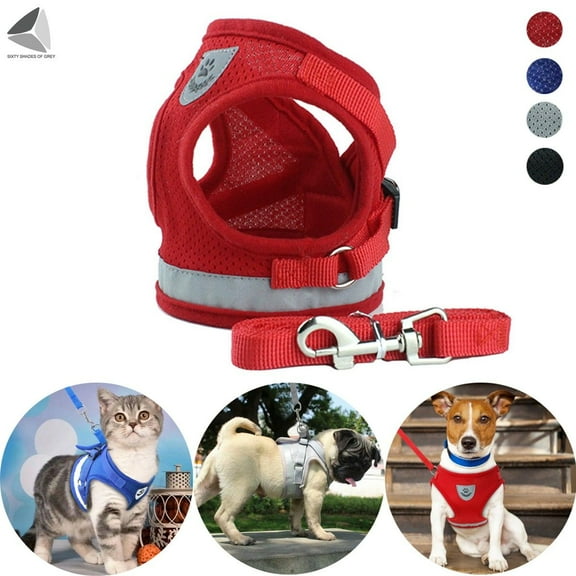 PULLIMORE No Choke Dog Harness Leash Set Adjustable Reflective Puppy Vest Harness for Small Dogs Cats (L, Red)