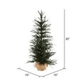 thumbnail image 2 of Vickerman 30" Vienna Twig Artificial Christmas Tree Unlit, 2 of 2