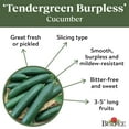 thumbnail image 4 of Burpee 800 mg Organics Tendergreen Burpless Cucumber, Annual Vegetable Seed, Full Sun, 4 of 5
