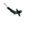 Black Ghost Knife, Live Fish 3-4in