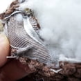 thumbnail image 2 of Realistic Squirrels Dog Toy With Squeaker Sound Interactively Pet Supplies For Anxiety Reliefs And Boredom Prevention, 2 of 8