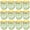 Gold, variant on SCENTORINI Natural Citronella Candles for Outdoor, 15 oz Lemongrass Essential Oils Travel Tin Candles for Patio, 6 Pack
