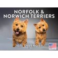 thumbnail image 1 of Calendario Póster Terrier Norfolk Norwich 2026, 1 of 6