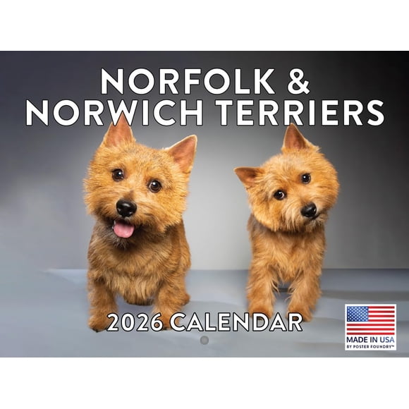 Calendario Póster Terrier Norfolk Norwich 2026