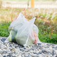thumbnail image 4 of Nylon Insect-Proof Mesh Bag Nylon Seed Bag Soaking Bag Filter Dragon Fruit Anti-Fruit Fly Anti-Bird Bag, 4 of 8